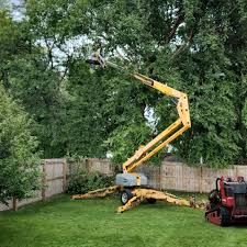 Best Tree Health Inspection  in Portland, MI